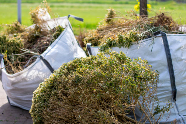 Best Yard Waste Removal  in Mountain City, TN